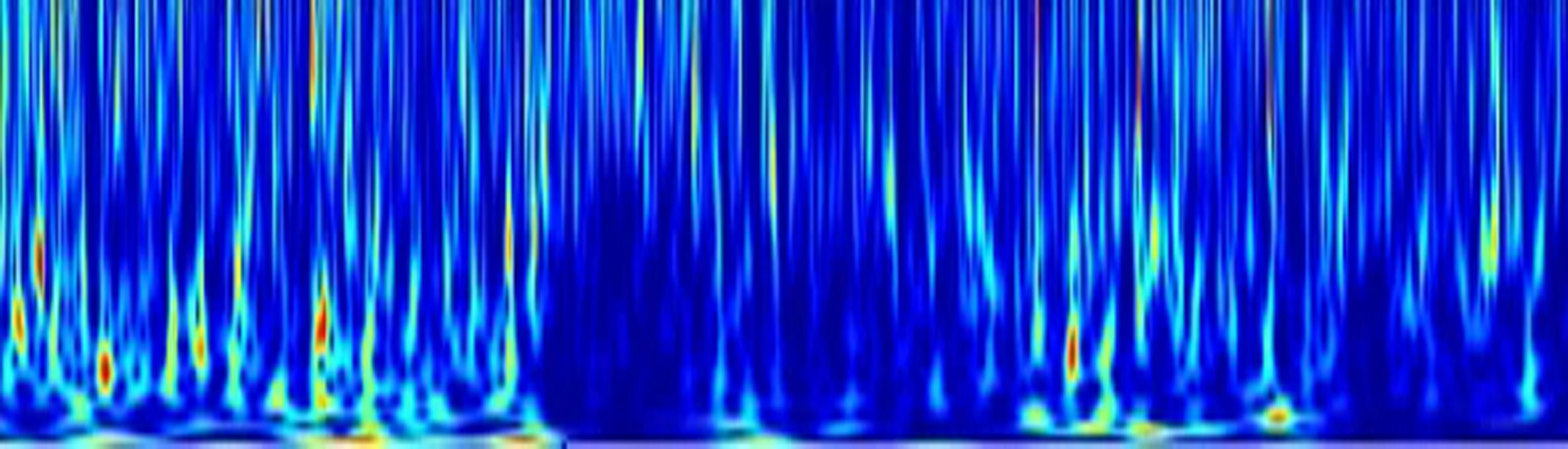 大腦中執(zhí)行不同認(rèn)知功能環(huán)路之間的協(xié)同作用
